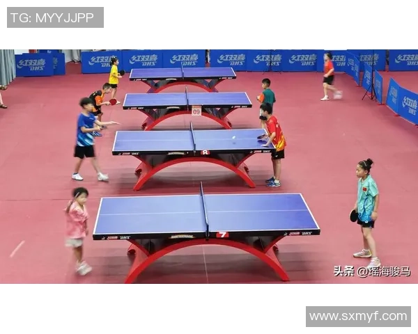 武汉乒乓球队技术分析与发展策略探讨聚焦乒乓球竞技新趋势